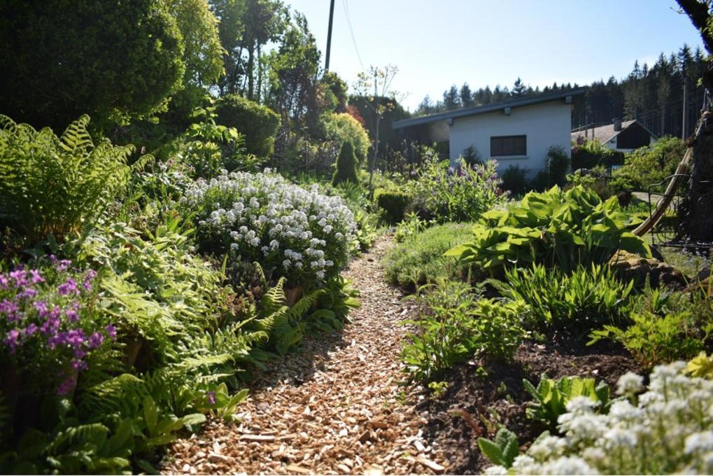飞翔住宿加早餐旅馆 Vecoux 外观 照片